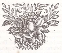 An illustration from Nouveau voyage d'Italie, avec un memoire contenant des avis utiles à ceux qui voudront faire le mesme voyage (1698)