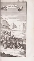 Picture 25 of 32 from Nouveau voyage d'Italie, avec un memoire contenant des avis utiles à ceux qui voudront faire le mesme voyage (1694), leaf 359