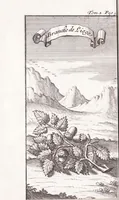 Picture 4 of 34 from Nouveau voyage d'Italie, avec un memoire contenant des avis utiles à ceux qui voudront faire le mesme voyage (1698), leaf 14