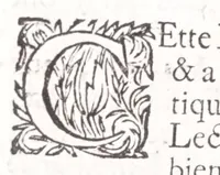 Picture 13 of 24 from Nouveau voyage d'Italie, avec un memoire contenant des avis utiles à ceux qui voudront faire le mesme voyage (1698), leaf 300