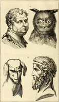 An illustration from Le Physionomiste, ou l'observateur de l'homme considéré sous les rapports de ses moeurs et de son caractère, d'après les traits du visage, les formes du corps, la démarche, la voix, le rire etc, etc, avec des rapprochements sur la ressemblance de divers individus, avec certains animaux (1808)