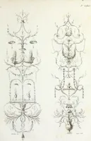 An illustration from Nouvelle collection d'arabesques, propres à la décoration des appartemens : dessinées à Rome par Lavallée Poussin et autres célèbres artistes modernes, et gravées par Guyot : précédée d'une notice historique sur le genre arabesque et d'une explication raisonnée des planches de la collection (1810)