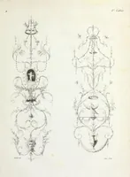 An illustration from Nouvelle collection d'arabesques, propres à la décoration des appartemens : dessinées à Rome par Lavallée Poussin et autres célèbres artistes modernes, et gravées par Guyot : précédée d'une notice historique sur le genre arabesque et d'une explication raisonnée des planches de la collection (1810)