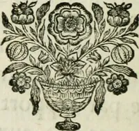 An illustration from Nouvelle de'couverte sur la lumiere, pour la mesurer & en compter les degrés (1700)