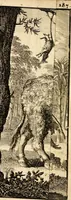 An illustration from Nouvelle decouverte d'un tres grand pays situé dans l'Amérique, entre le Nouveau Mexique, et la Mer Glaciale, avec les cartes, & les figures necessaires, & de plus l'histoire naturelle & morale, & les avantages, qu'on en peut tirer par l'établissem. des colon. Le tout dedie à Sa Majeste britannique. Guillaume III (1698)