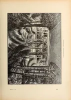 An illustration from Nouvelle géographie moderne des cinq parties du monde (1890)