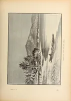 An illustration from Nouvelle géographie moderne des cinq parties du monde (1890)