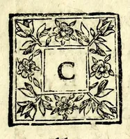 An illustration from Nouvelle maniere de fortifier les places, tirée des methodes du chevalier de Ville, du comte de Pagan, & de monsieur de Vauban : avec des remarques sur l'ordre renforcé, sur les desseins du capitaine Marchi, & sur ceux de M. Blondel, suivies de deux nouveaux desseins (1689)