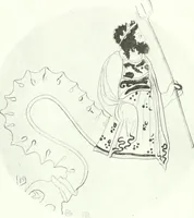 Picture 273 of 368 from Nouvelle mythologie illustrée (1920), leaf 371