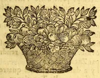 An illustration from Nouvelle relation, contenant les voyages de Thomas Gage dans la Nouvelle Espagne, : ses diverses avantures; & son retour par la province de Nicaragua, jusques à la Havane. Avec la description de la ville de Mexique telle qu'elle estoit autrefois, & comme elle est à present. Ensemble vne description exacte des terres & provinces que possedent les Espagnols en toute l'Amerique, de la forme de leur gouvernement ecclesiastique & politique, de leur commerce, de leurs moeurs, & de celles de criolles, des metifs [sic], des mulatres, des indiens, & des negres. Et un traité de la langue poconchi ou pocomane. Dedié à Monseigneur Colbert secretaire d'etat. (1676)