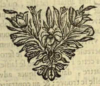 An illustration from Nouvelles de l'Amerique, ou Le Mercure ameriquain. : Ou sont contenües trois histoires veritables arrivées de nostre temps (1678)