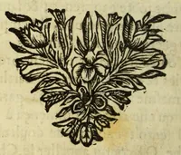 An illustration from Nouvelles de l'Amerique, ou Le Mercure ameriquain. : Ou sont contenües trois histoires veritables arrivées de nostre temps (1678)