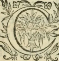 Picture 10 of 27 from Nouvelles morales en suite de celles de Cervantes .. (1621), leaf 171