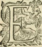 An illustration from Nouvelles morales en suite de celles de Cervantes .. (1621)