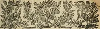 An illustration from Nouvelles morales en suite de celles de Cervantes .. (1621)