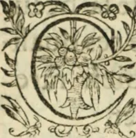 An illustration from Nouvelles morales en suite de celles de Cervantes .. (1621)