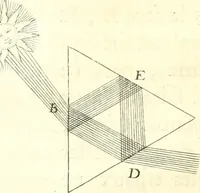 Picture 11 of 29 from Nouvelles observations et coniectvres svr l'iris (1650), leaf 277