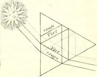 Picture 12 of 29 from Nouvelles observations et coniectvres svr l'iris (1650), leaf 287