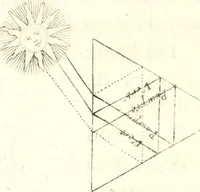 Picture 14 of 29 from Nouvelles observations et coniectvres svr l'iris (1650), leaf 289