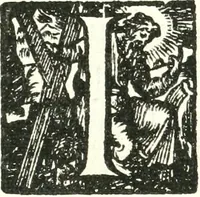 Picture 15 of 29 from Nouvelles observations et coniectvres svr l'iris (1650), leaf 294