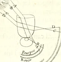 Picture 18 of 29 from Nouvelles observations et coniectvres svr l'iris (1650), leaf 307