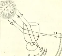 Picture 23 of 29 from Nouvelles observations et coniectvres svr l'iris (1650), leaf 315