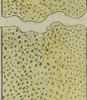 An illustration from Nouvelles récréations physiques et mathématiques, contenant ce qui a été imaginé de plus curieux dans ce genre et qui se découvre journellement, auxquelles on a joint, leurs causes, leurs effets, la mani¿ere de les construire, & l'amusement qu'on en peut tirer pour étonner et surprendre agréablement (1786)