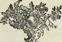 An illustration from Nouvelles recherches sur la science des medailles, inscriptions, et hieroglyphes antiques (1778)