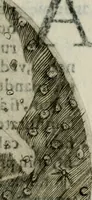 Picture 37 of 66 from Novae coelestium terrestriumq[ue] rerum observationes : et fortasse hactenus non uulgatae (1646), leaf 102