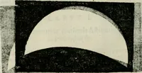 Picture 39 of 66 from Novae coelestium terrestriumq[ue] rerum observationes : et fortasse hactenus non uulgatae (1646), leaf 105