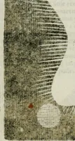 Picture 44 of 66 from Novae coelestium terrestriumq[ue] rerum observationes : et fortasse hactenus non uulgatae (1646), leaf 113