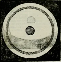 An illustration from Novae coelestium terrestriumq[ue] rerum observationes : et fortasse hactenus non uulgatae (1646)