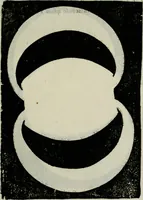 Picture 60 of 66 from Novae coelestium terrestriumq[ue] rerum observationes : et fortasse hactenus non uulgatae (1646), leaf 146