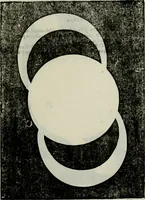 An illustration from Novae coelestium terrestriumq[ue] rerum observationes : et fortasse hactenus non uulgatae (1646)