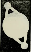 An illustration from Novae coelestium terrestriumq[ue] rerum observationes : et fortasse hactenus non uulgatae (1646)