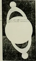 Picture 64 of 66 from Novae coelestium terrestriumq[ue] rerum observationes : et fortasse hactenus non uulgatae (1646), leaf 154