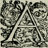 An illustration from Novae coelestium terrestriumq[ue] rerum observationes : et fortasse hactenus non uulgatae (1646)