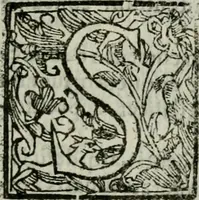 Picture 7 of 66 from Novae coelestium terrestriumq[ue] rerum observationes : et fortasse hactenus non uulgatae (1646), leaf 36