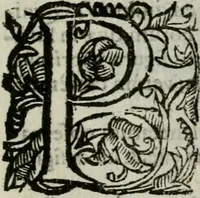 An illustration from Novae coelestium terrestriumq[ue] rerum observationes : et fortasse hactenus non uulgatae (1646)