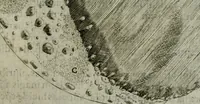An illustration from Novae coelestium terrestriumq[ue] rerum observationes : et fortasse hactenus non uulgatae (1646)