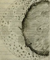 An illustration from Novae coelestium terrestriumq[ue] rerum observationes : et fortasse hactenus non uulgatae (1646)