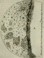 An illustration from Novae coelestium terrestriumq[ue] rerum observationes : et fortasse hactenus non uulgatae (1646)