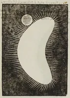 Picture 19 of 39 from Novae coelestivm terrestrivmq; rervm observationes, et fortasse hactenus non uulgatae (1646), leaf 109