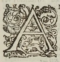 An illustration from Novae coelestivm terrestrivmq; rervm observationes, et fortasse hactenus non uulgatae (1646)