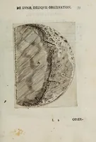 Picture 11 of 39 from Novae coelestivm terrestrivmq; rervm observationes, et fortasse hactenus non uulgatae (1646), leaf 87