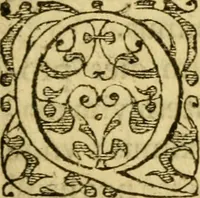 An illustration from Novae Novi orbis historiæ (1600)