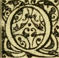 Picture 13 of 16 from Novae Novi orbis historiæ (1600), leaf 466