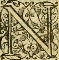 Picture 3 of 16 from Novae Novi orbis historiæ (1600), leaf 8