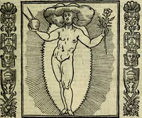 Picture 44 of 320 from Nova iconologia (1618), leaf 104