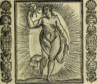 Picture 57 of 320 from Nova iconologia (1618), leaf 134